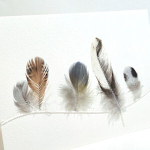 Unikat | Diverse Hühner und ein Papagei