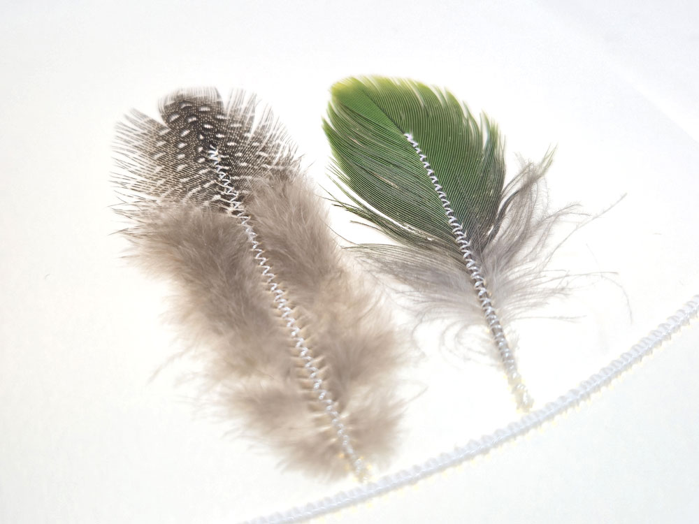 Unikat | Perlhuhn und Papagei